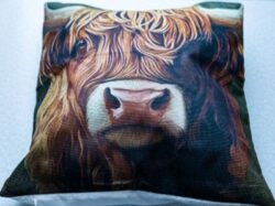 Sierkussen Schotse Hooglander. Sierkussen Schotse Hooglander.