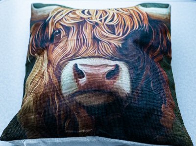 Sierkussen Schotse Hooglander.