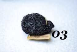 s 03 (Custom) Najel Lava Scrub Puimsteen 15 Verschillende