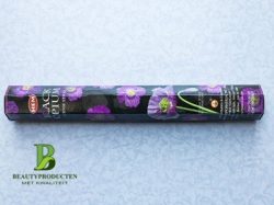 Hem Wierook Hexa Stokjes Black Opium Hem Wierook Hexa Stokjes Black Opium