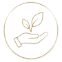 lijnbutton1